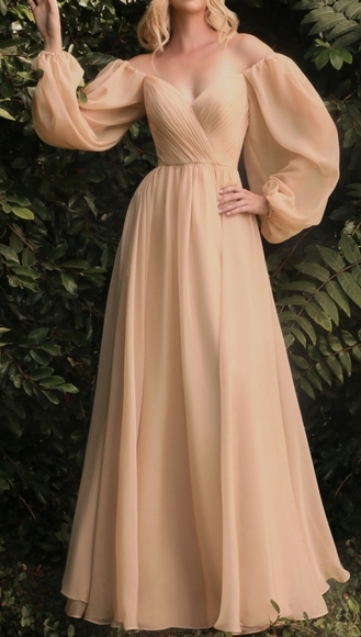 COPY - black,pink, champagne long sleeve a line chiffon gown - Picture 6 of 11